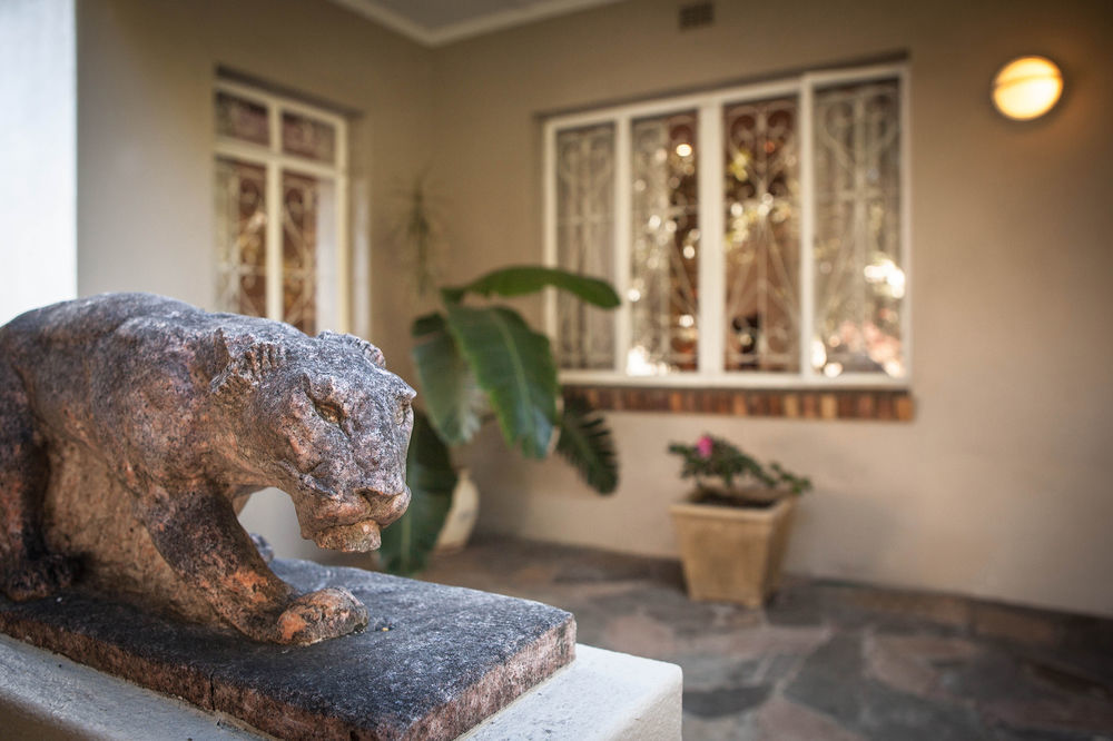 The Lions Guest House Cape Town Dış mekan fotoğraf