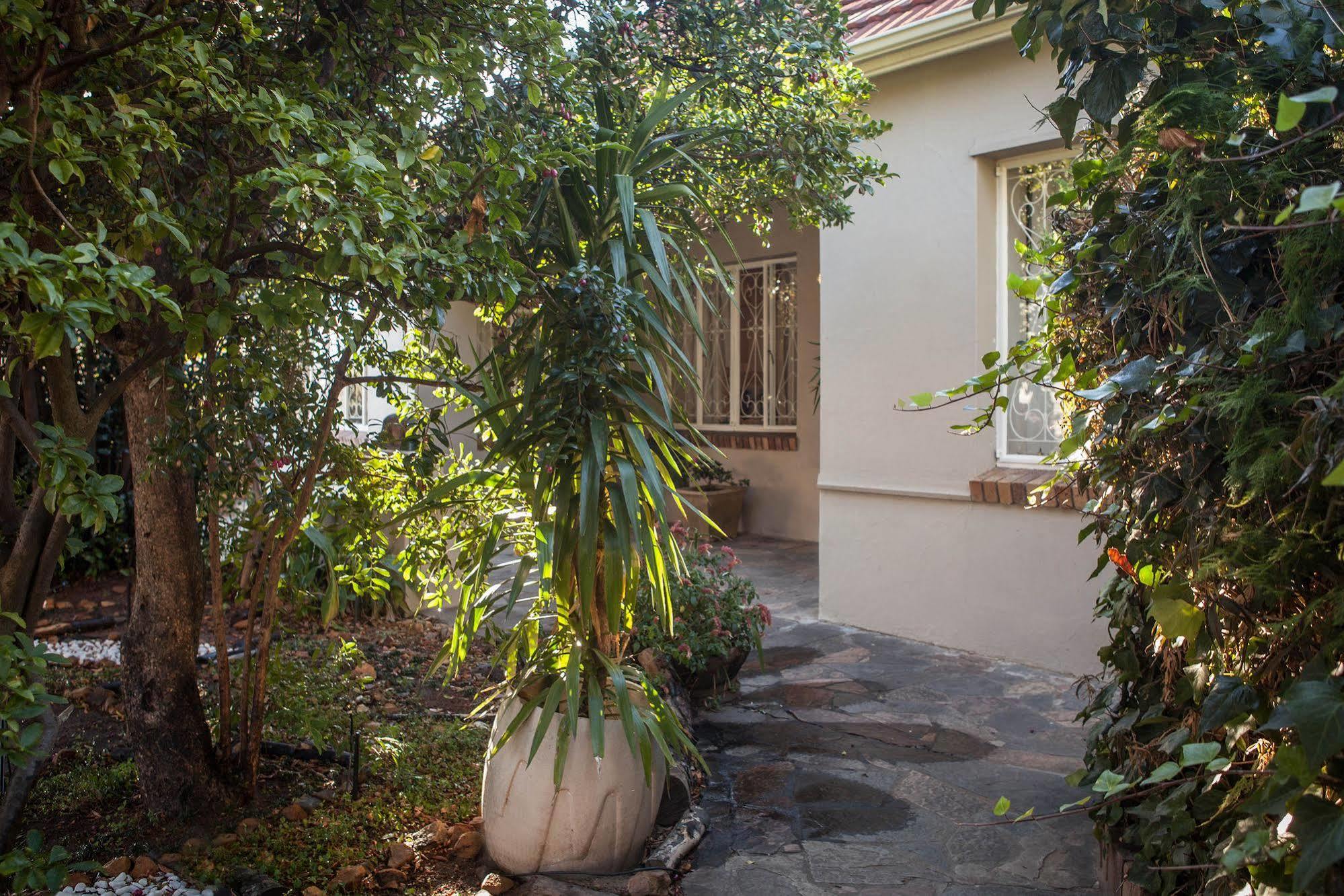 The Lions Guest House Cape Town Dış mekan fotoğraf